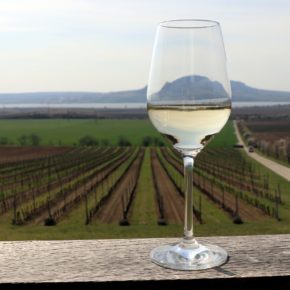 Gourmet Jižní Morava - víno a vinařství jižní Morava - Sonberk Popice
